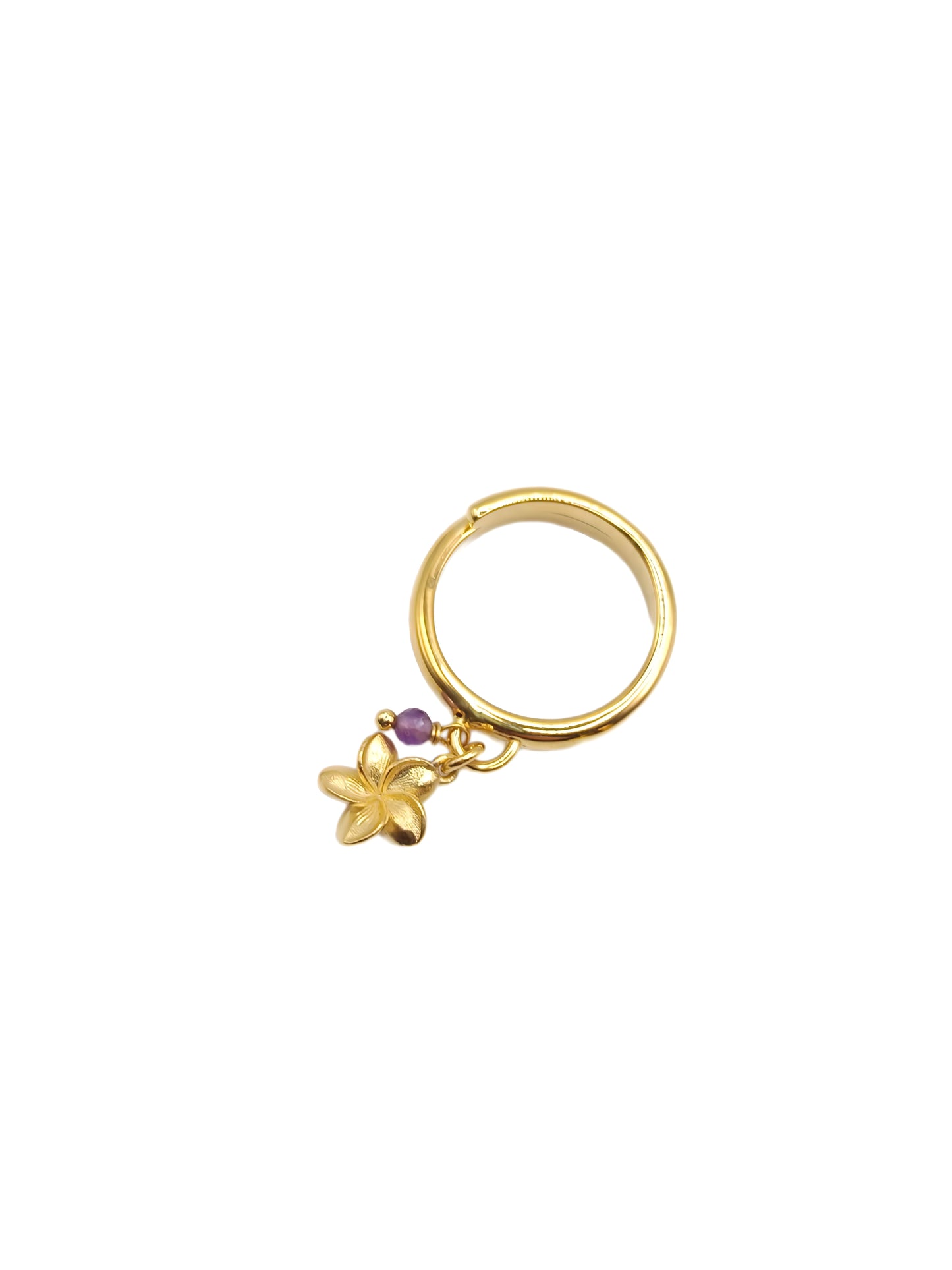 Anello Regolabile Ishwara Purezza - ANPU1/AM