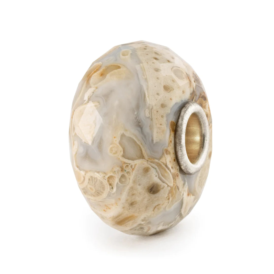 Legno Fossile con Argento Trollbeads - TSTBE-20042