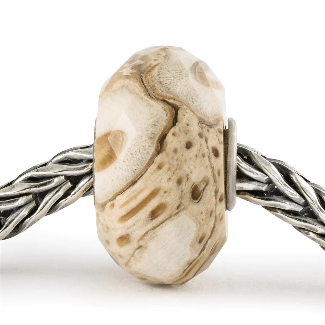 Legno Fossile con Argento Trollbeads - TSTBE-20042