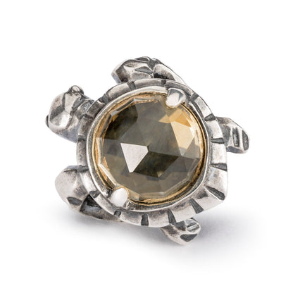 Lunga Vita Trollbeads - TAGBE-00299