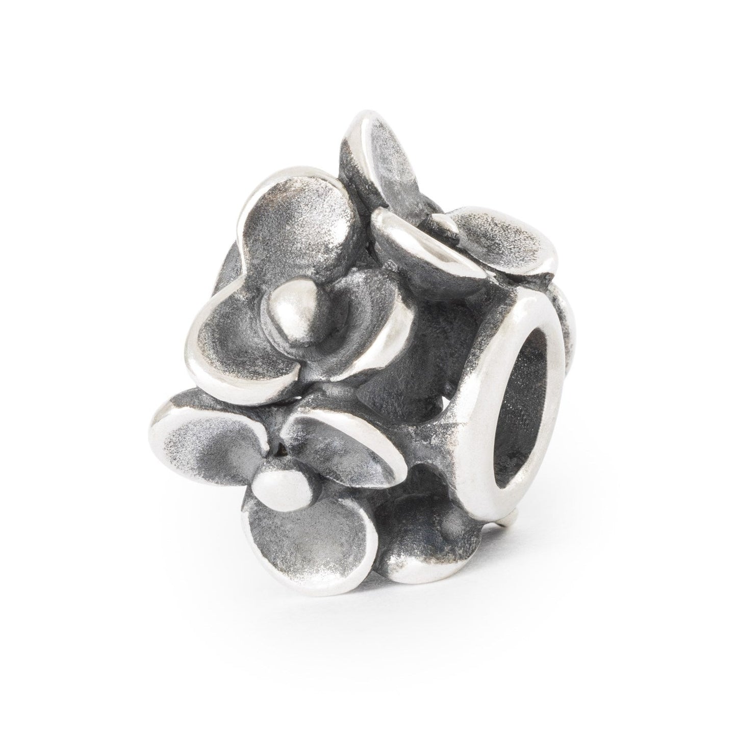 Bracciale Start Magia delle Fate Trollbeads - TAGBO-00008