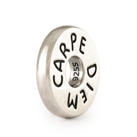 Carpe Diem Trollbeads - TAGBE-20304