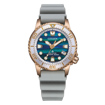 OROL0GIO DONNA CITIZEN PROMASTER ECO DRIVE  EO2023-00W