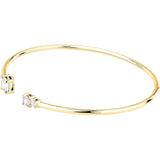 Bracciale Rigido Donna Morellato Tesori - SAIW293