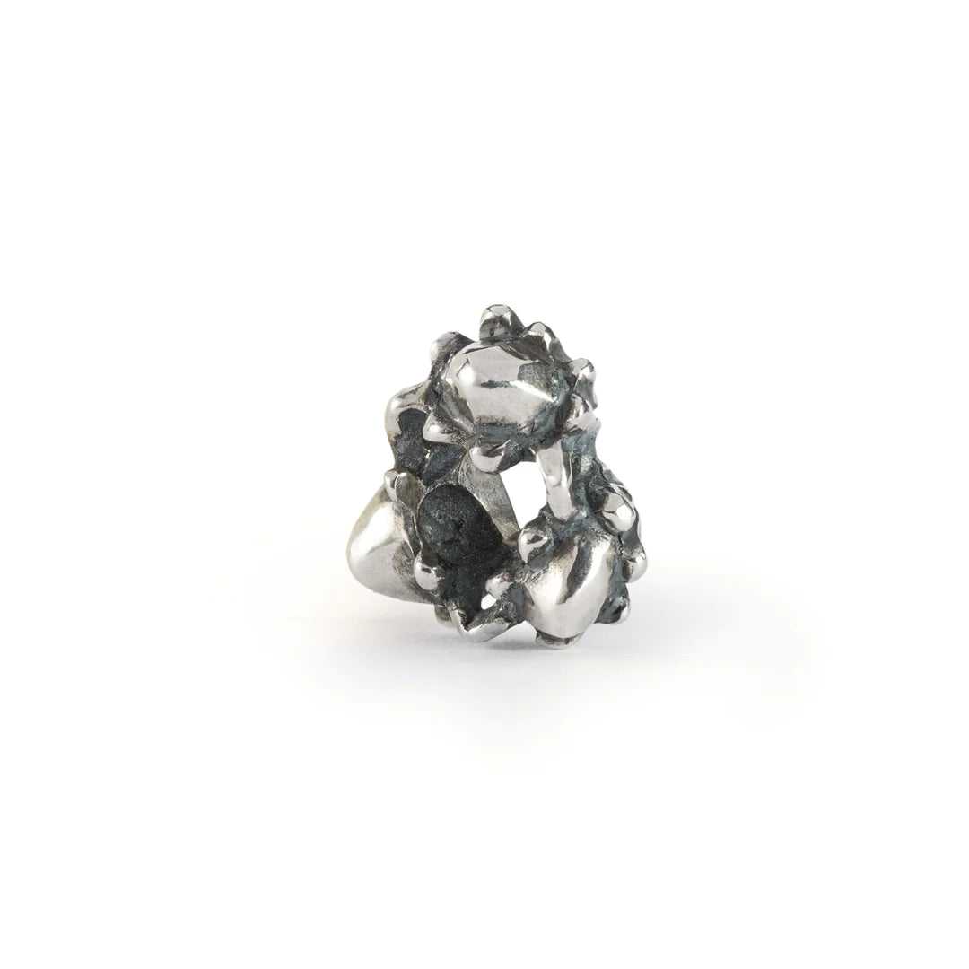 Ghianda dei Sogni RITIRATO Trollbeads - TAGBE-20261 /