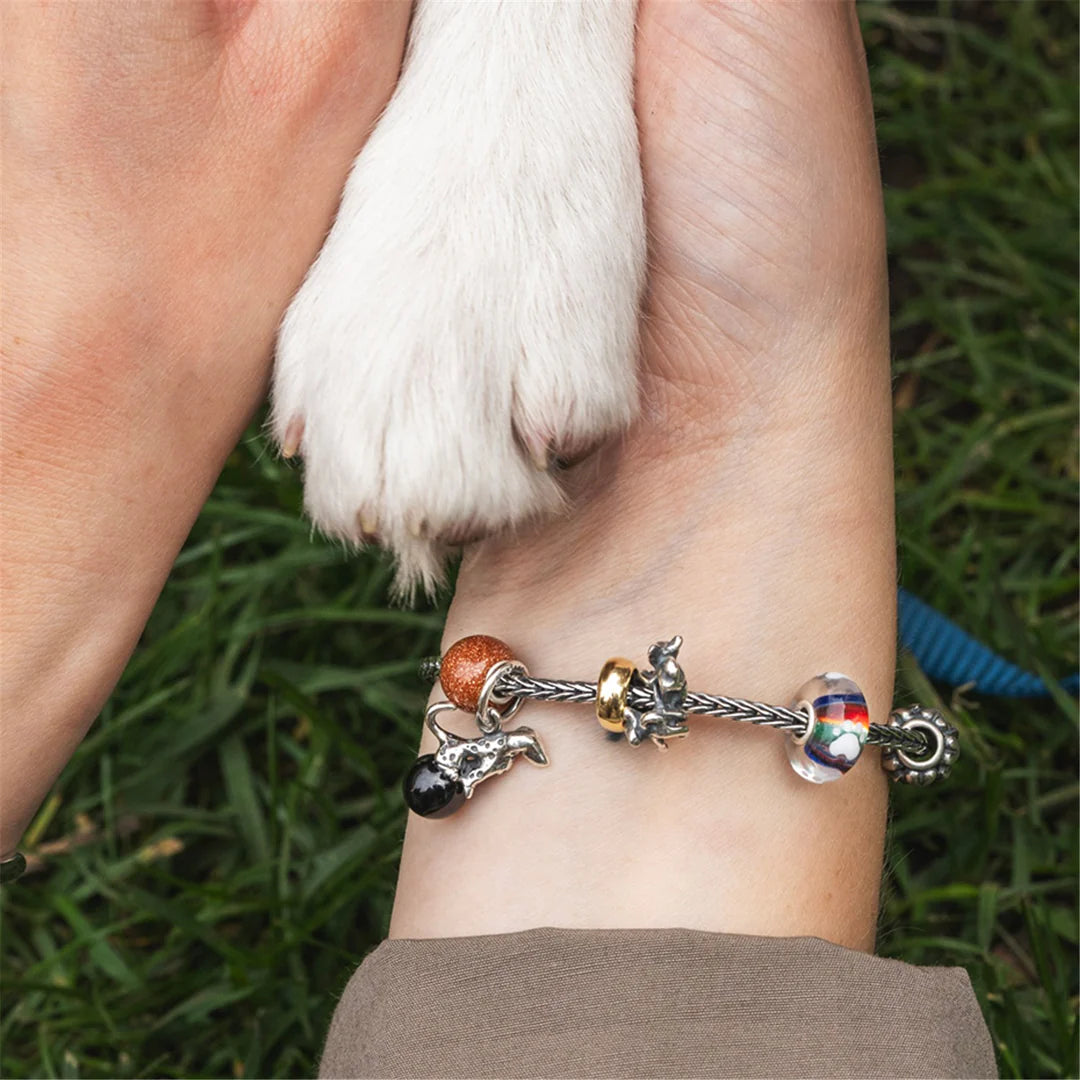 Compagno per la Vita Trollbeads - TGLBE-20387 /