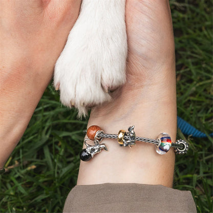 Compagno per la Vita Trollbeads - TGLBE-20387 /