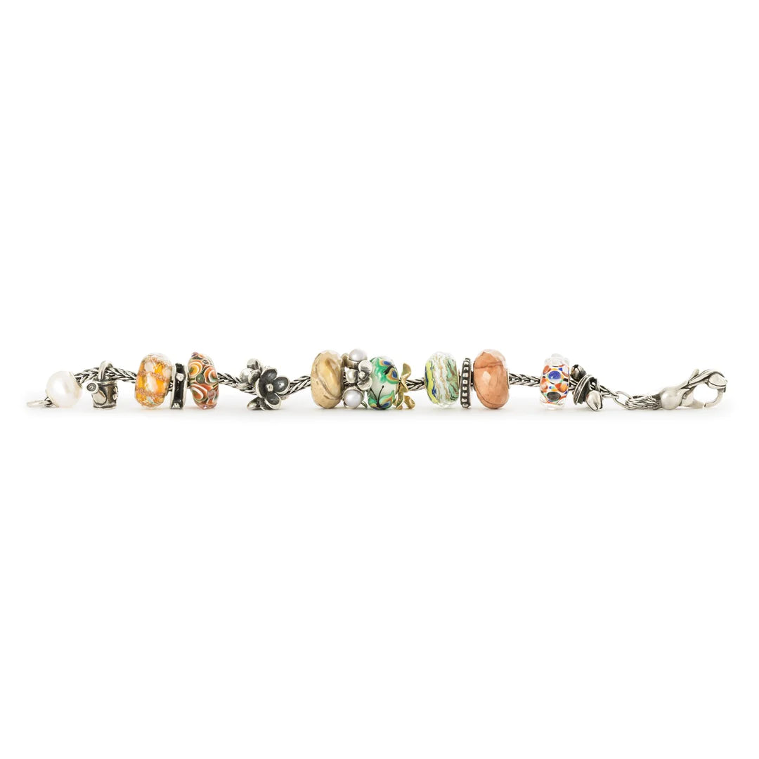 Connessione di Momenti Trollbeads - TAGBE-10276
