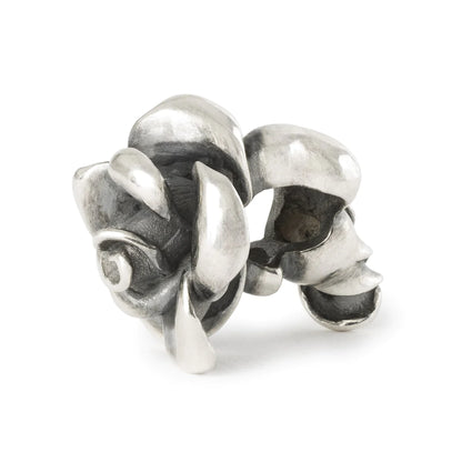 Pendente Dichiarazione d’Amore Trollbeads - TAGPE-00092