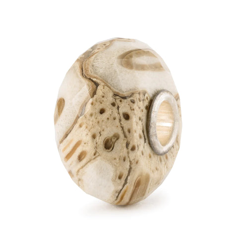 Legno Fossile con Argento Trollbeads - TSTBE-20042