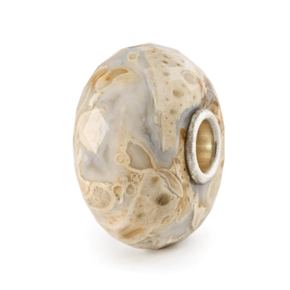 Legno Fossile con Argento Trollbeads - TSTBE-20042