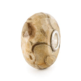 Legno Fossile con Argento Trollbeads - TSTBE-20042
