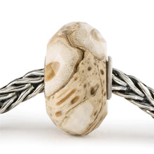 Legno Fossile con Argento Trollbeads - TSTBE-20042