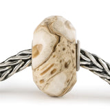 Legno Fossile con Argento Trollbeads - TSTBE-20042