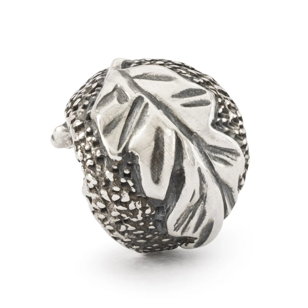 Riccio della Protezione Trollbeads - TAGBE-30201