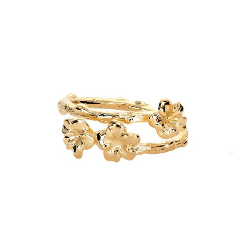 Anello Regolabile Ishwara Viva La Vita - ANVV1
