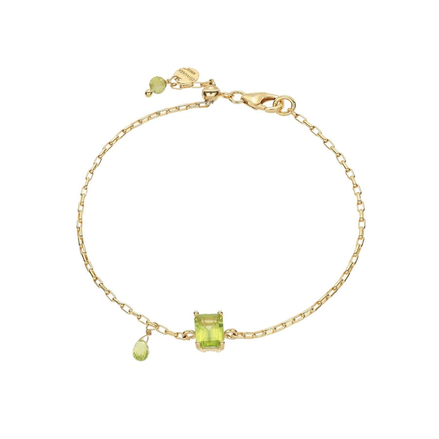 Bracciale In Argento Ishwara Collezione Ritmo - BRRI1/TPR