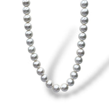 Collana Filo di Perle Bianche Ti Sento Milano - 3693PW/48