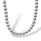 Collana Filo di Perle Bianche Ti Sento Milano - 3693PW/48