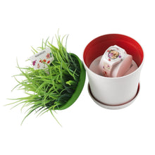 Orologio Unisex Swatch Blossoming Love - GZ290