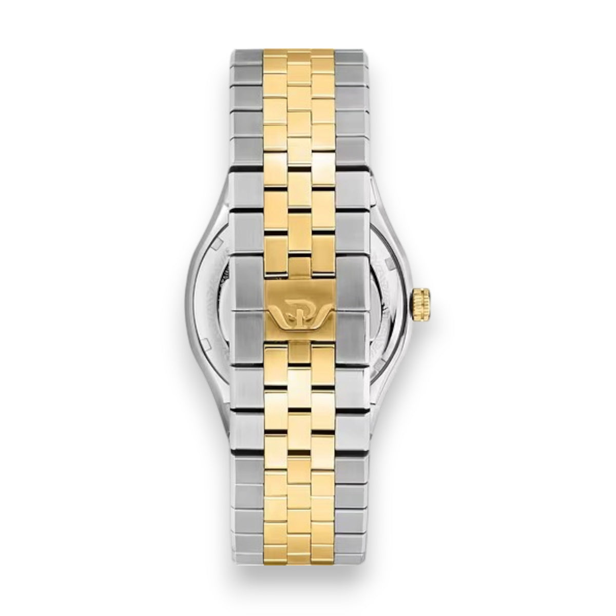 Orologio Uomo Philip Watch Windsurf -  R8273633003