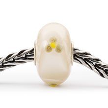 Armadillo dell'Equilibrio Trollbeads - TGLBE-20317