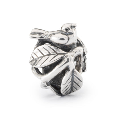 Nido Trollbeads - TAGBE-40130
