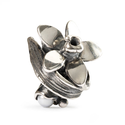 Narciso di Dicembre Trollbeads - TAGBE-00038