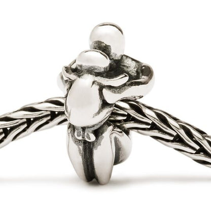 Paternità Trollbeads - TAGBE-50033