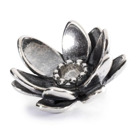 Loto Spirituale Trollbeads - TAGPE-00018